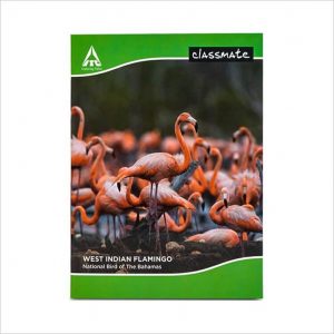 Classmate A4  Ruled Long Book - 172 Pages