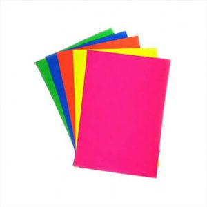 A4 Paper - Colour -Neon Mix - Set of 100 sheets - Colours as per availability