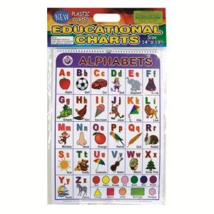 Educational Charts Calendar Type - Plastic Coated, Set of 10 Chart
