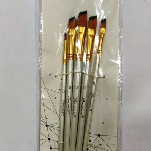 Artist Brush Set of 5 piece - Angle Brush