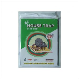 Mouse trap - Glue Pad