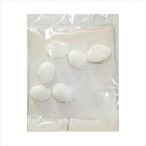 Sea Shells Packet  (Decorative material)