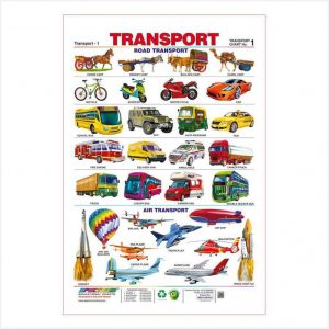 Educational Wall Chart - Transport - 1 Piece