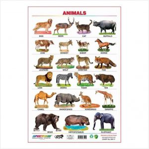 Educational Wall Chart - Animals - 1 Piece